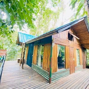 Khao Sok Tree House Resort